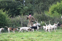 Fernie Autumn Hunting at Gumley 2019 003