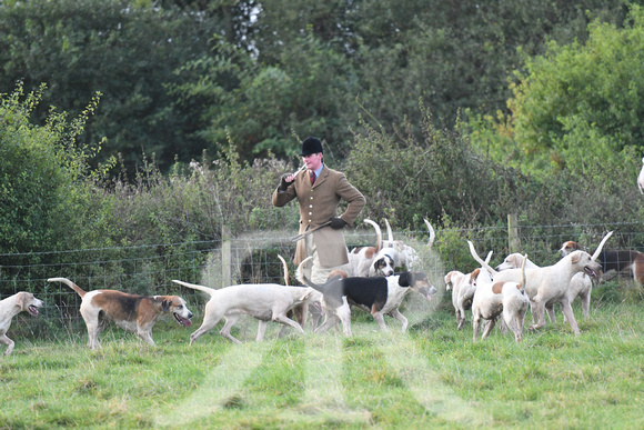 Fernie Autumn Hunting at Gumley 2019 003