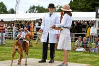 Peterborough Hound Show 2024 281