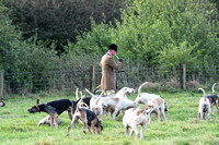 Fernie Autumn Hunting at Gumley 2019 006