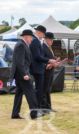 Blaston Hound show Winners & Young Handlers 2024 006