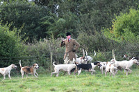 Fernie Autumn Hunting at Gumley 2019 004