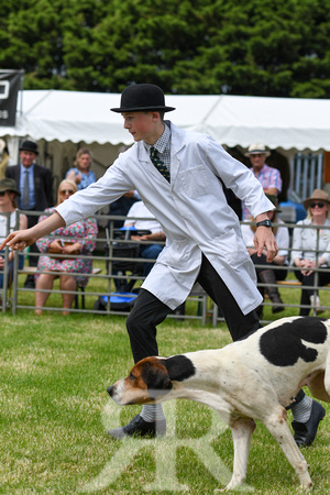 Peterborough Hound Show 2024 296