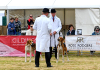 Blaston Hound show Winners & Young Handlers 2024 005