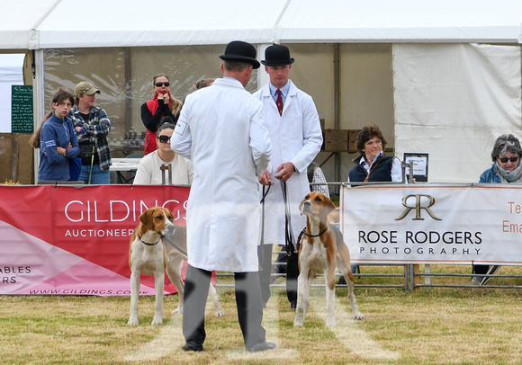 Blaston Hound show Winners & Young Handlers 2024 005