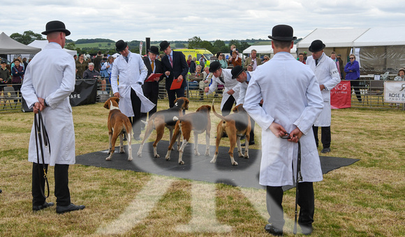 Blaston Hound show Winners & Young Handlers 2024 048