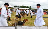 Blaston Hound show Winners & Young Handlers 2024 003