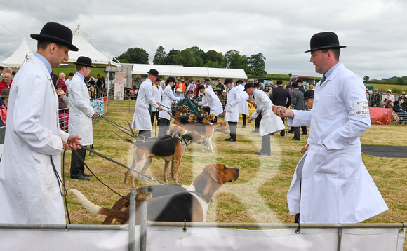 Blaston Hound show Winners & Young Handlers 2024 003