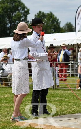 Peterborough Hound Show 2024 295