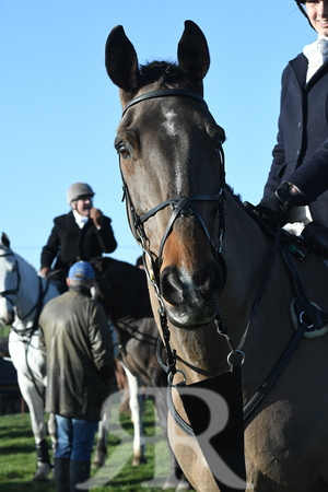 Fernie at Shangton Holt 2020 028