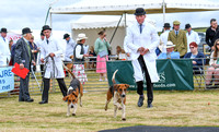 Blaston Hound Show 2024 035