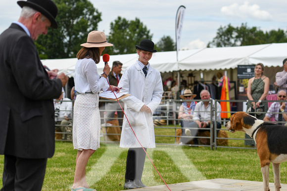 Peterborough Hound Show 2024 289