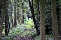 Fernie Autumn Hunting at Gumley 2019 016