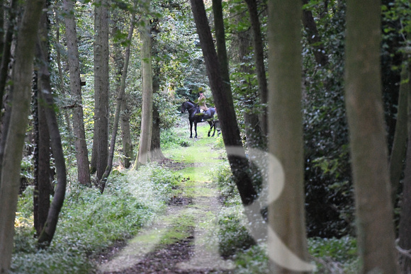 Fernie Autumn Hunting at Gumley 2019 016