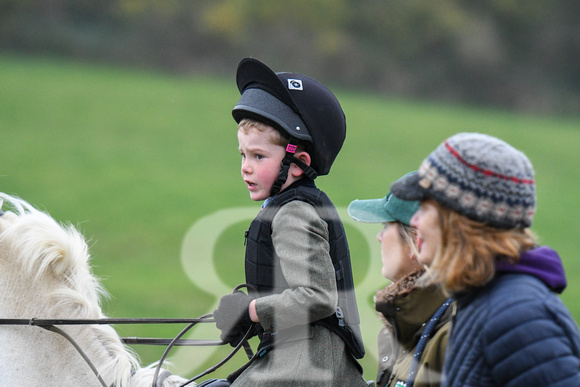 Fernie at Thornhill Farm 2024 027