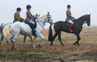 Fernie Hound Training 2024 At Peatling Magna & Colonels Spinney 007