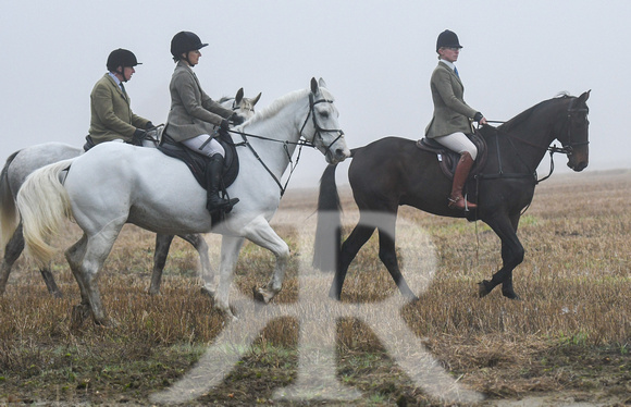 Fernie Hound Training 2024 At Peatling Magna & Colonels Spinney 007