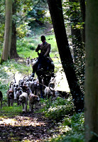 Fernie Autumn Hunting at Gumley 2019 025