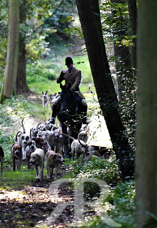 Fernie Autumn Hunting at Gumley 2019 025