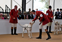 Peterborough Festival of Hunting 2022 014