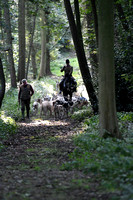 Fernie Autumn Hunting at Gumley 2019 026