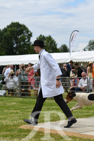 Peterborough Hound Show 2024 298