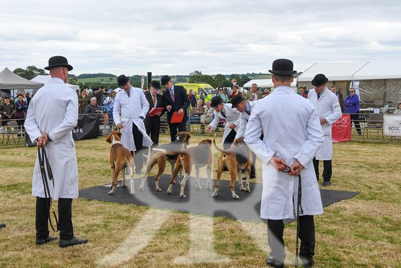 Blaston Hound show Winners & Young Handlers 2024 047