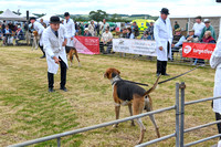 Blaston Hound show Winners & Young Handlers 2024 007