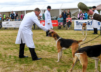 Blaston Hound show Winners & Young Handlers 2024 012