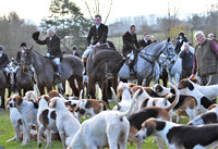 Fernie at Bulldyke Farm Hallaton 2022