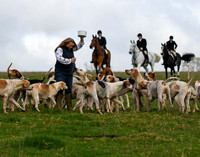 Fernie at Shangton Holt Farm 2024