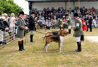 Peterborough Festival of Hunting 2022 045