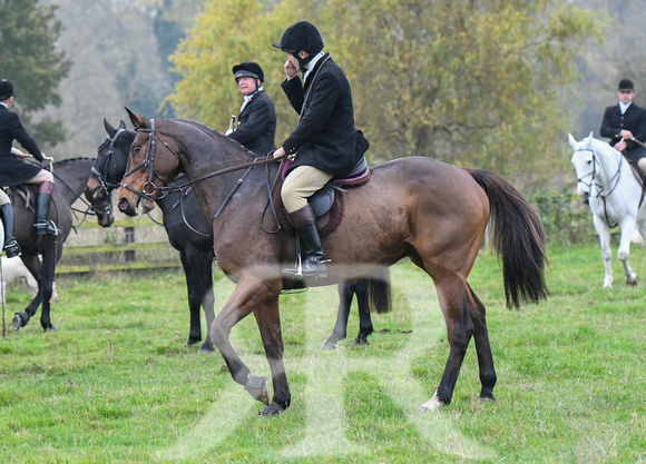 Fernie at Thornhill Farm 2024 018