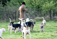 Fernie Autumn Hunting at Laughton, Gumley& John Ball 2019