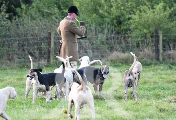 Fernie Autumn Hunting at Gumley 2019 005