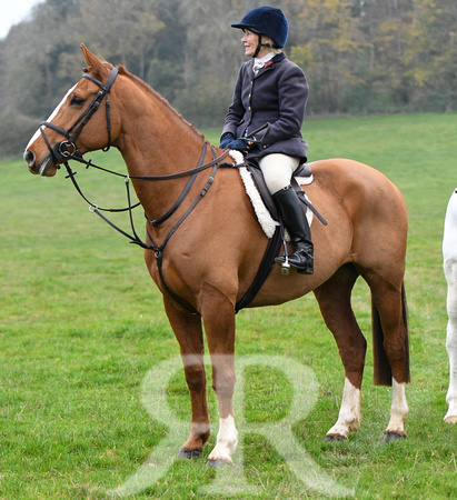 Fernie at Thornhill Farm 2024 006