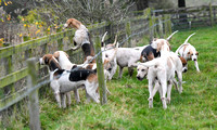 Fernie at Thornhill Farm 2024 021