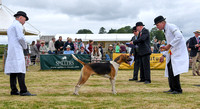 Blaston Hound show Winners & Young Handlers 2024 019