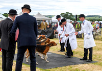 Blaston Hound show Winners & Young Handlers 2024 043