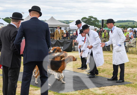 Blaston Hound show Winners & Young Handlers 2024 043