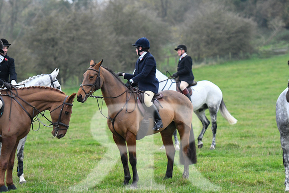 Fernie at Thornhill Farm 2024 026