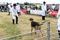 Blaston Hound show Winners & Young Handlers 2024 008