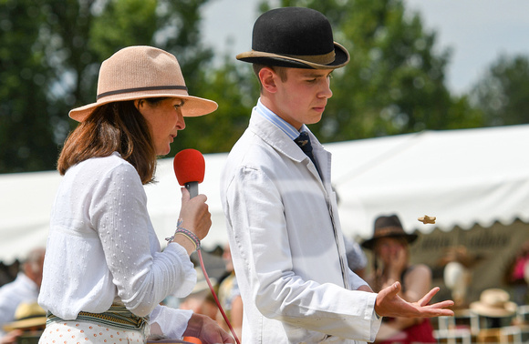 Peterborough Hound Show 2024 294