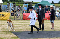 Blaston Hound show Winners & Young Handlers 2024 156