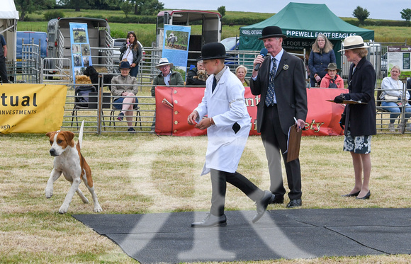 Blaston Hound show Winners & Young Handlers 2024 156